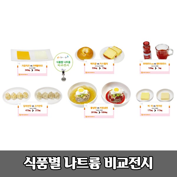 [S3369] 식품모형-[식품별 나트륨비교] 나트륨섭취줄이기 교육모형 식품별 소금량비교