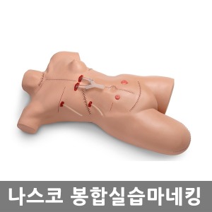 [나스코] 봉합실습마네킹 LF00929 Surgical Sally Bandaging Simulator ▶ 간호실습마네킹 교육인체모형 교육마네킹  NASCO