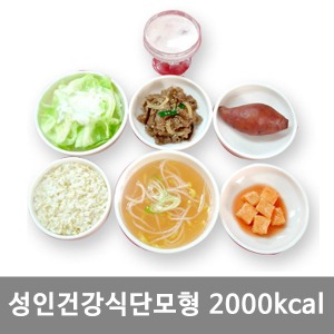 [S3457]  고혈압식단모형 2000kcal KIM7-89 ▶ 식품모형 음식모형 권장식단모형 식사모형