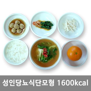 [S3457]  당뇨식단모형 1600kcal KIM7-92 ▶ 식품모형 음식모형 권장식단모형 식사모형