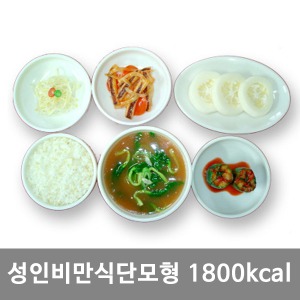 [S3457]  비만식단모형(성인) 1800kcal KIM7-86 ▶ 식품모형 음식모형 권장식단모형 식사모형 보건교육 교육모형