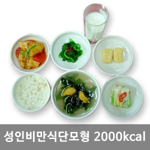 [S3457]  비만식단모형(성인) 2000kcal KIM7-85 ▶ 식품모형 음식모형 권장식단모형 식사모형
