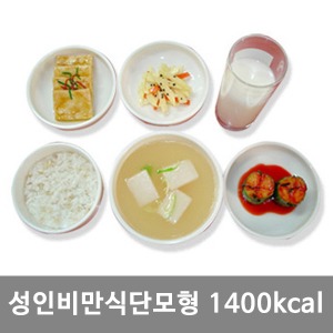 [S3457]  비만식단모형(성인)  1400kcal KIM7-88 ▶ 식품모형 음식모형 권장식단모형 식사모형
