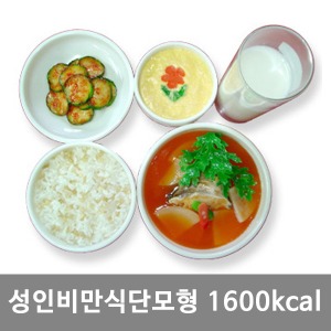 [S3457]  비만식단모형(성인) 1600kcal KIM7-87 ▶ 식품모형 음식모형 권장식단모형 식사모형 보건교육