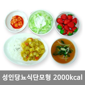 [S3457]  당뇨식단모형 2000kcal KIM7-93 ▶ 식품모형 음식모형 권장식단모형 식사모형