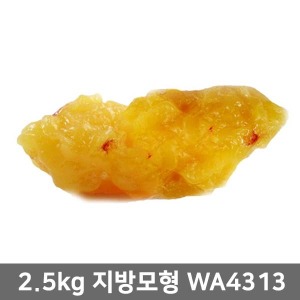 [SY] 지방모형(2.5kg) WA04313