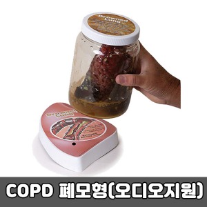[SY] COPD 폐모형(오디오지원) 만성폐쇄성폐질환 M78615KO