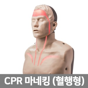 [SY] 7대안전교육 CPR 심폐소생술 마네킹 브레이든 혈행형 (IM13K)