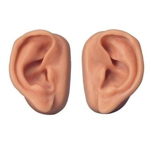 [3B] 침술귀 실습모형 (10개세트) N16 (9.5x6x4cm/1.87 kg) Acupuncture Ears