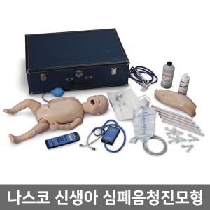 [나스코] 신생아 심폐음청진모형 LF01201 ▶ 청진마네킹 청진실습마네킨 신생아인체모형 교육용모형  NASCO