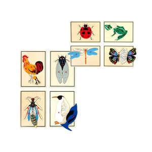 [S3816] FBC6013 동물부위손잡이퍼즐세트 / 보드게임 도형 퍼즐 문화 도서 학습교재